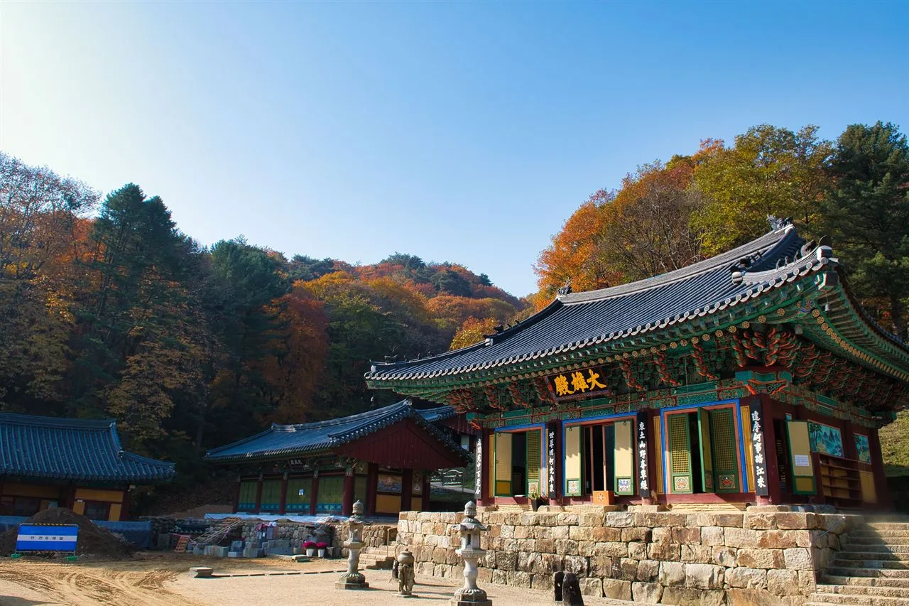 치악산 구룡사 입구 단풍 사진, 물들기 시작, 구룡사 길
