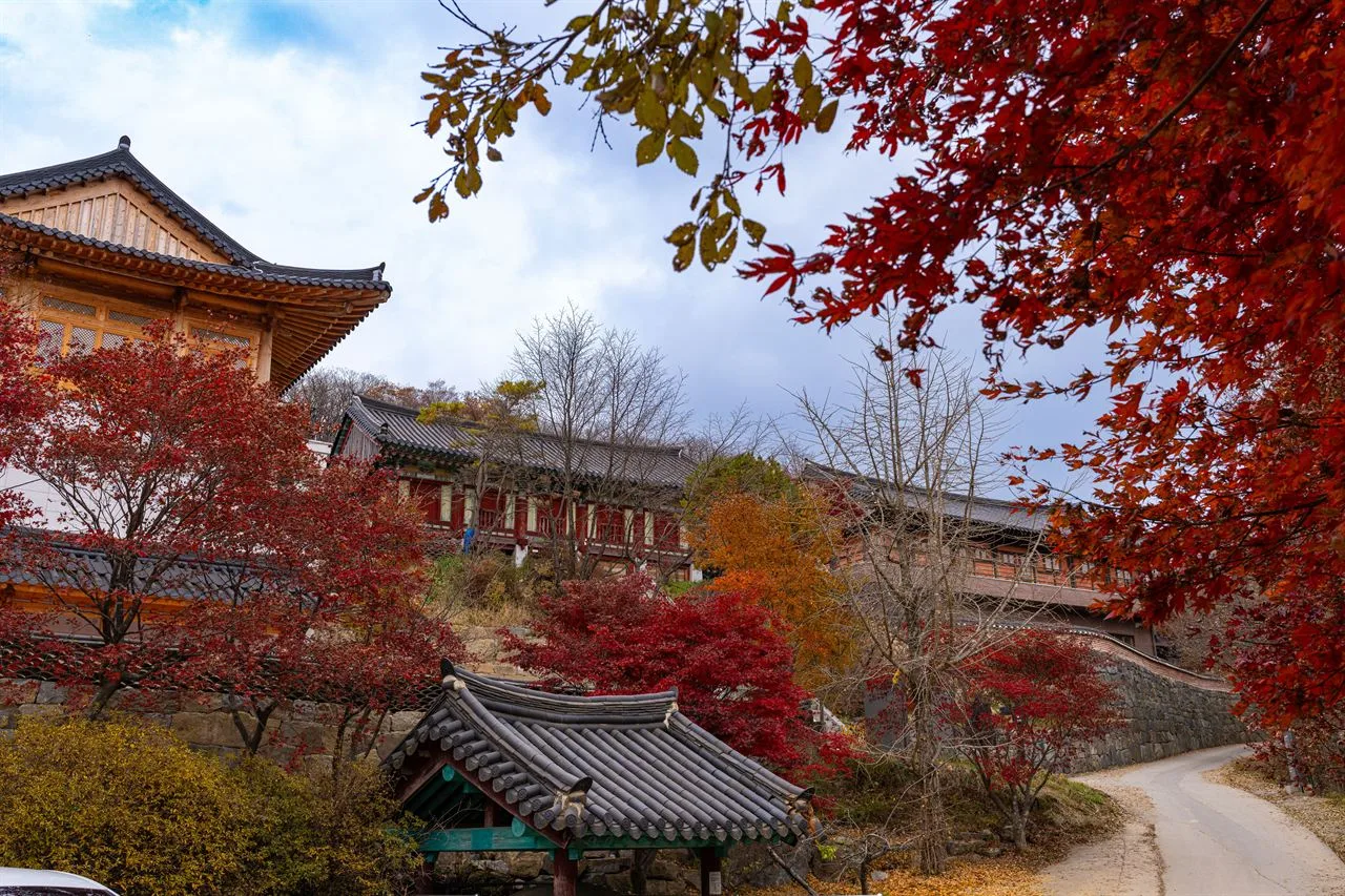 덕유산 적상산 단풍 사진, 많이 물듦, 적상산 전망대 · 안국사 길