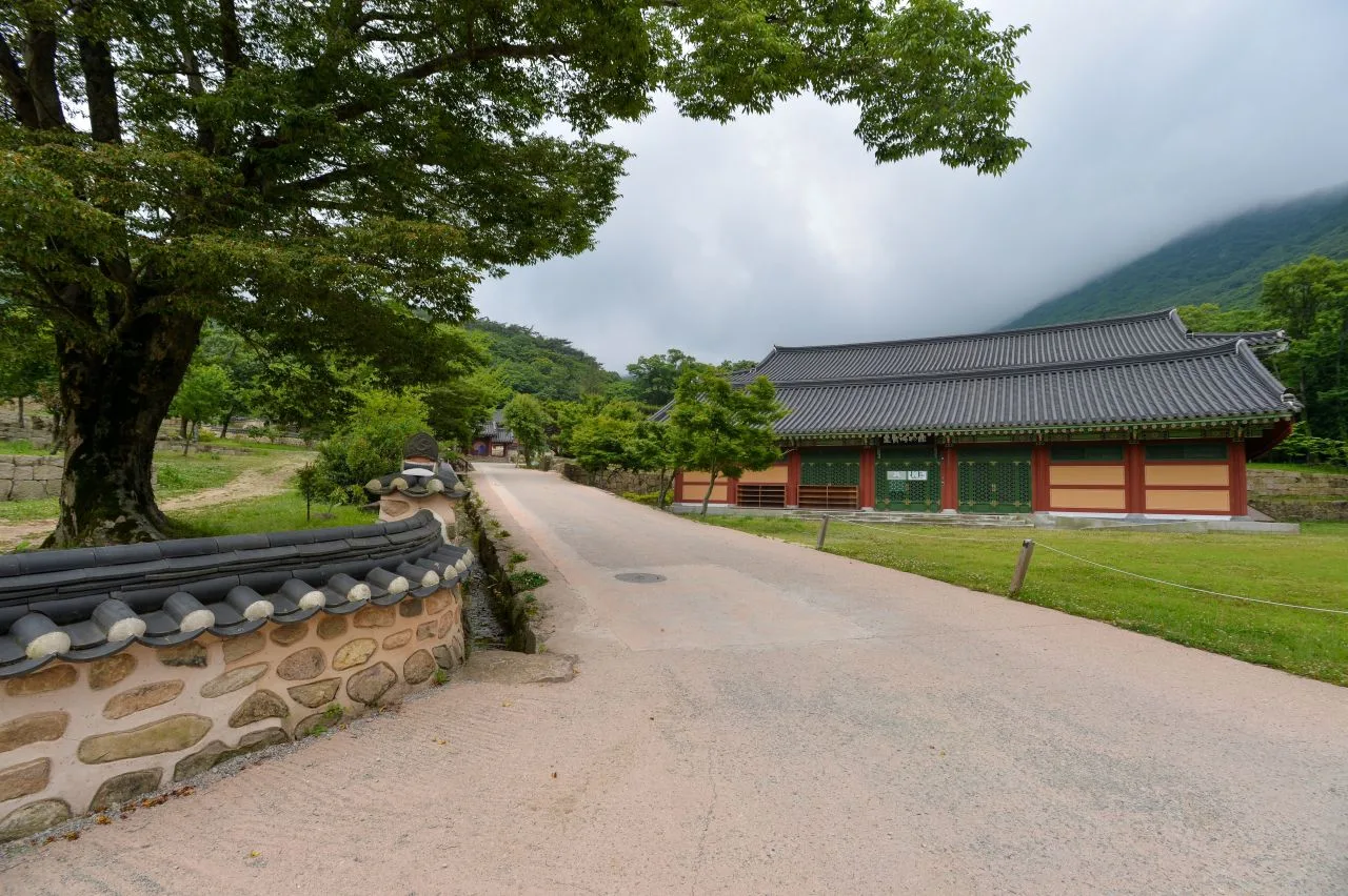 두륜산 대흥사 입구 단풍 사진, 아직 초록