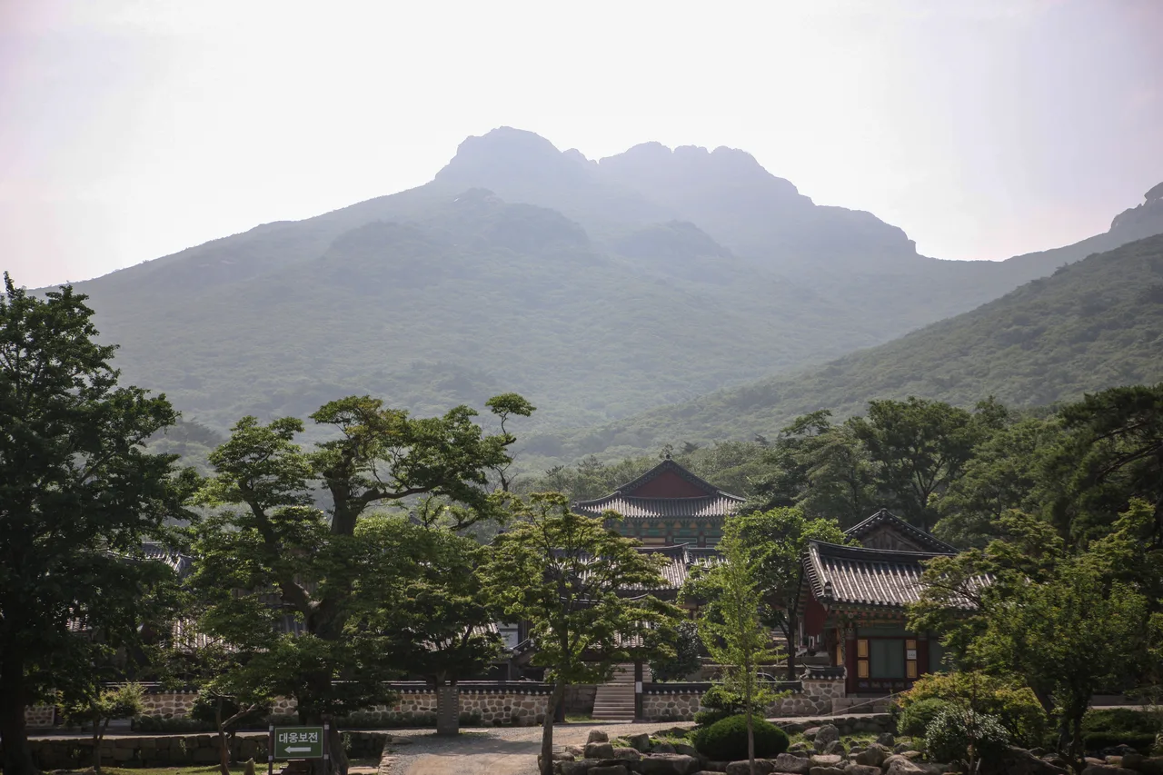 두륜산 대흥사 입구 단풍 사진, 아직 초록