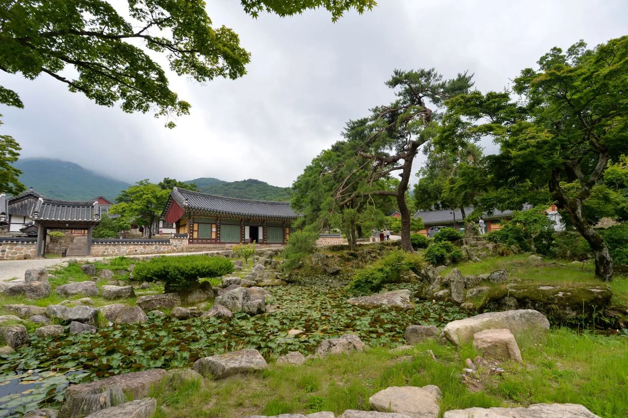 두륜산 대흥사 입구 단풍 사진, 아직 초록