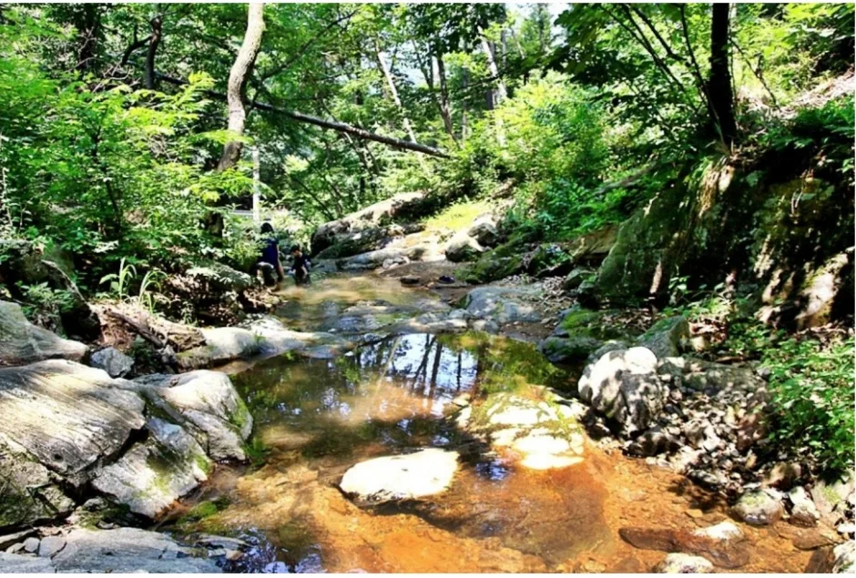 가지산 석남사 입구 단풍 사진, 아직 초록, 석남사 계곡 길
