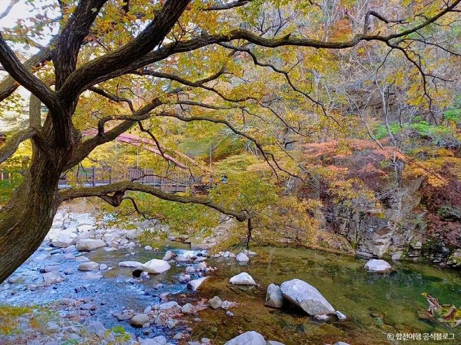 가야산 해인사 입구 단풍 사진, 많이 물듦, 해인사 소리길