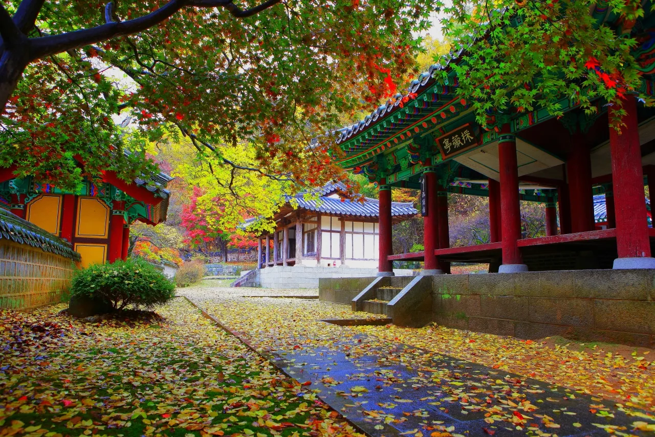 금오산도립공원 입구 단풍 사진, 많이 물듦