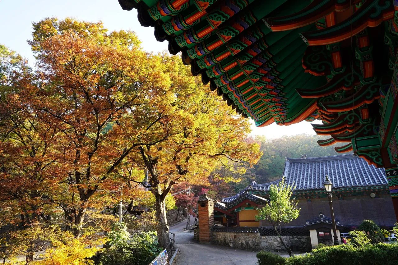 계룡산 동학사 입구 단풍 사진, 많이 물듦, 갑사 넘어가는 길