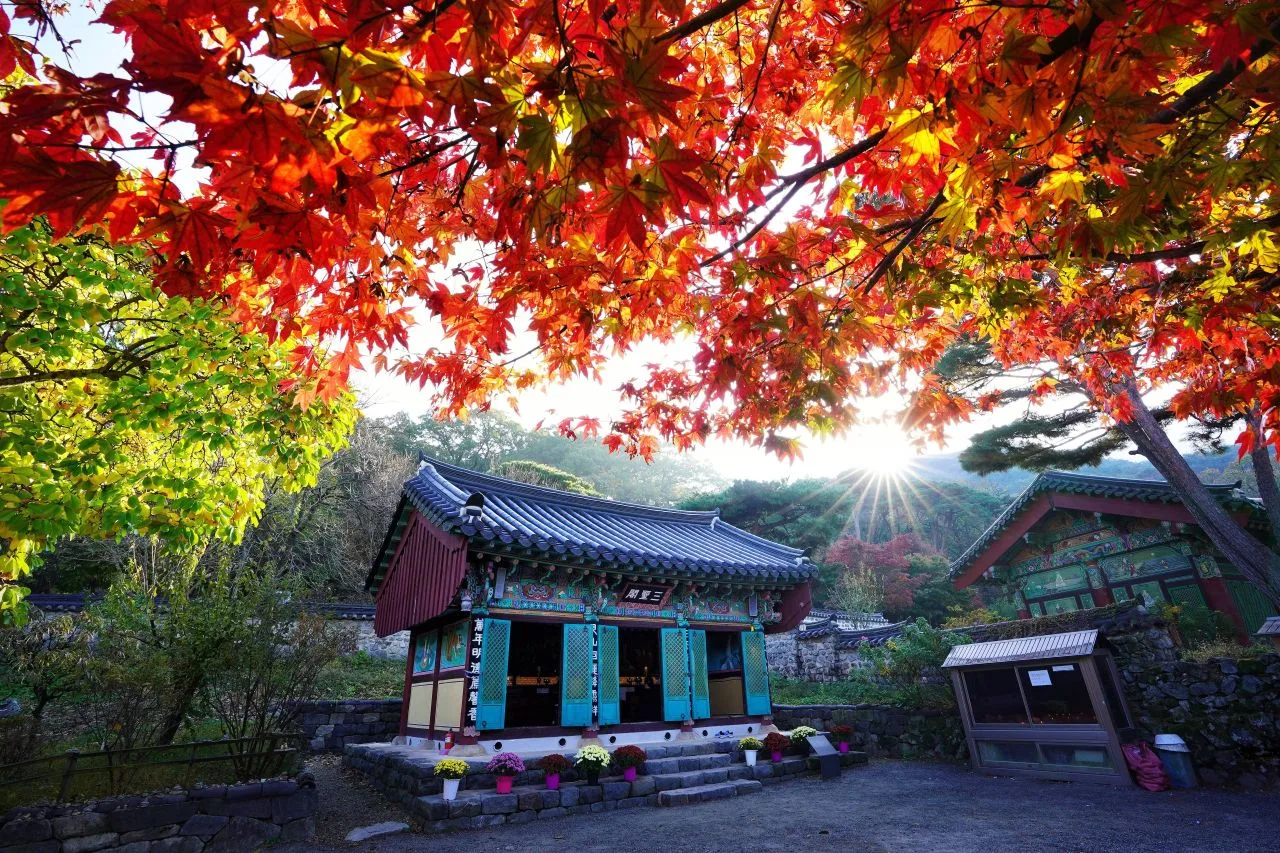 계룡산 동학사 입구 단풍 사진, 많이 물듦, 갑사 넘어가는 길