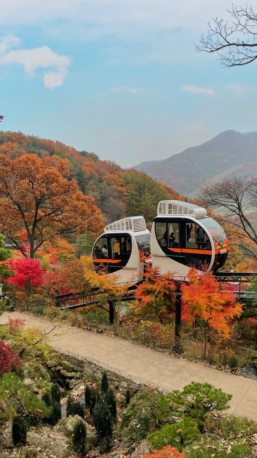 화담숲 단풍 사진, 많이 물듦, 단풍 숲길 (모노레일)