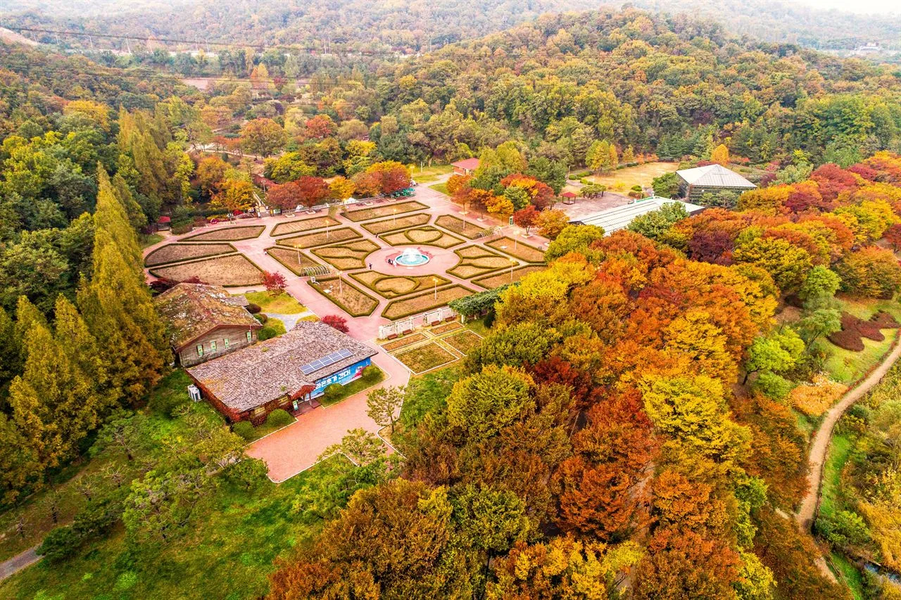 인천대공원 단풍 사진, 많이 물듦