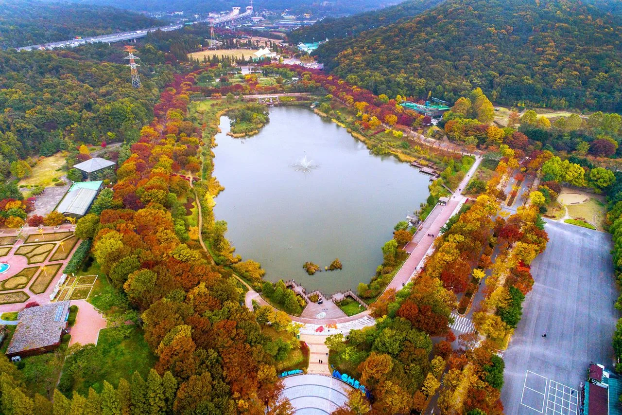 인천대공원 단풍 사진, 많이 물듦, 단풍 터널 (장수천 · 호수 둘레)