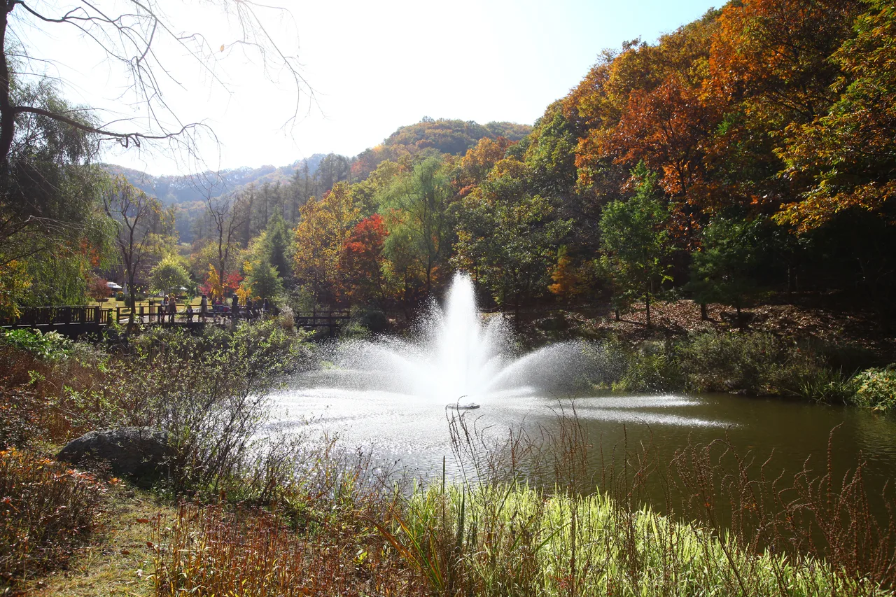 제이드가든 단풍 사진, 많이 물듦