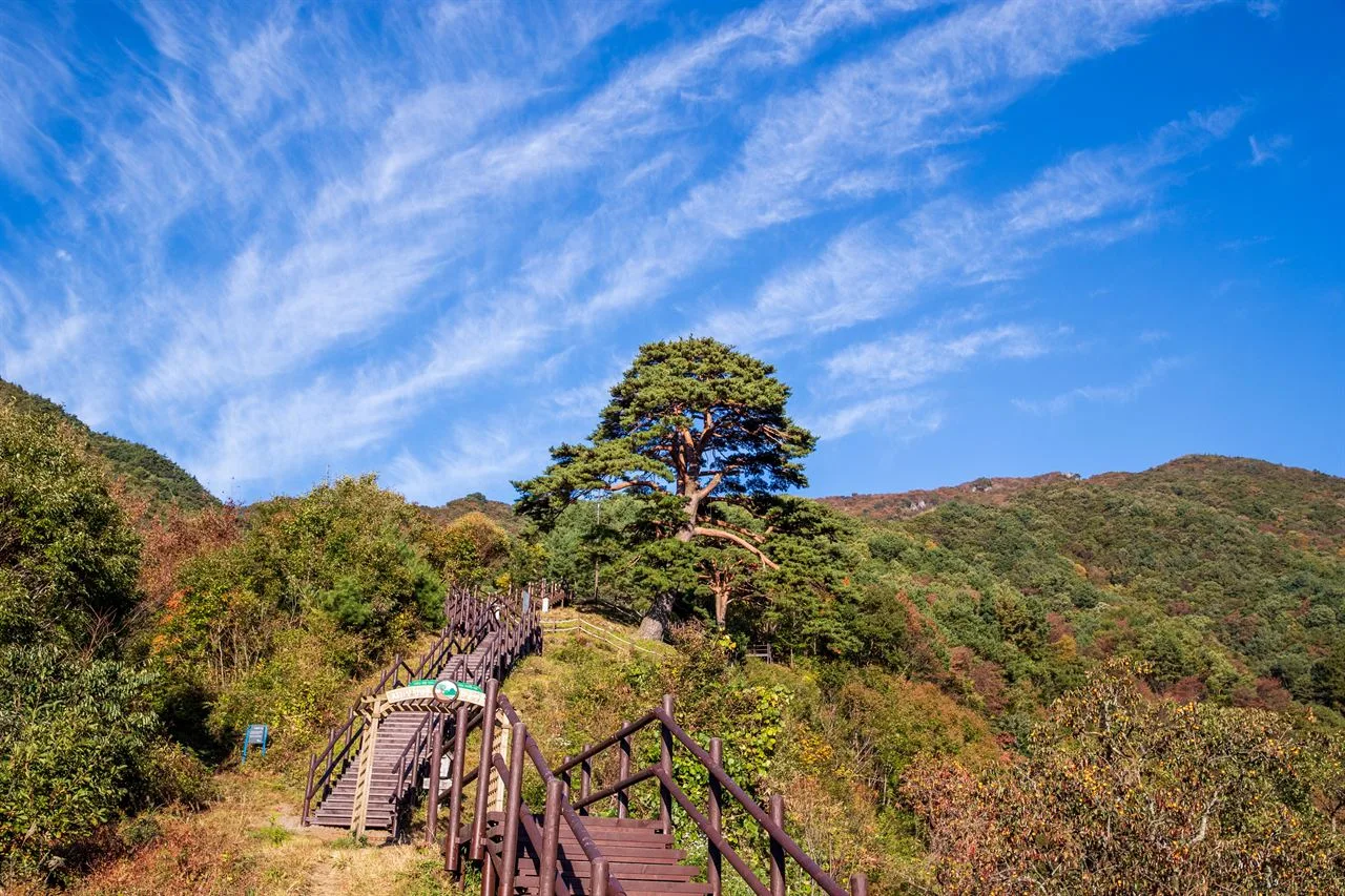 지리산 뱀사골 단풍 사진, 물들기 시작, 와운마을 천년송 길