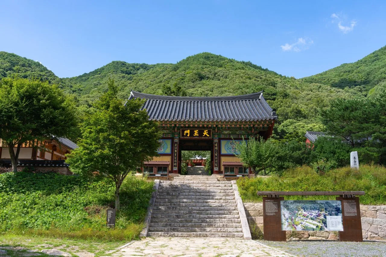 지리산 피아골 단풍 사진, 아직 초록, 연곡사
