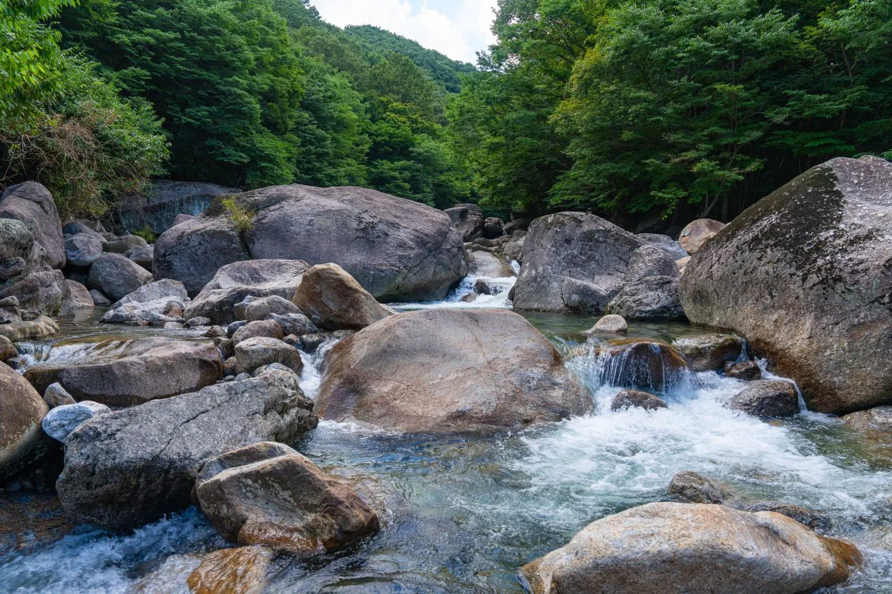 지리산 피아골 단풍 사진, 아직 초록, 직전마을 · 피아골 계곡 길