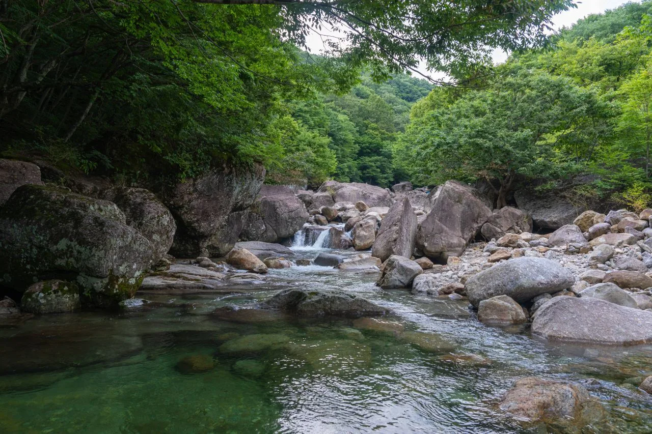 지리산 피아골 단풍 사진, 아직 초록, 직전마을 · 피아골 계곡 길