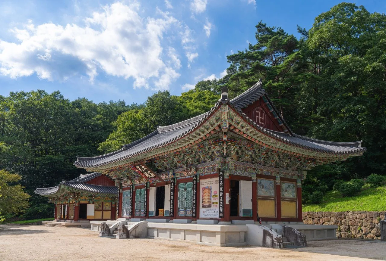 지리산 피아골 단풍 사진, 아직 초록, 연곡사