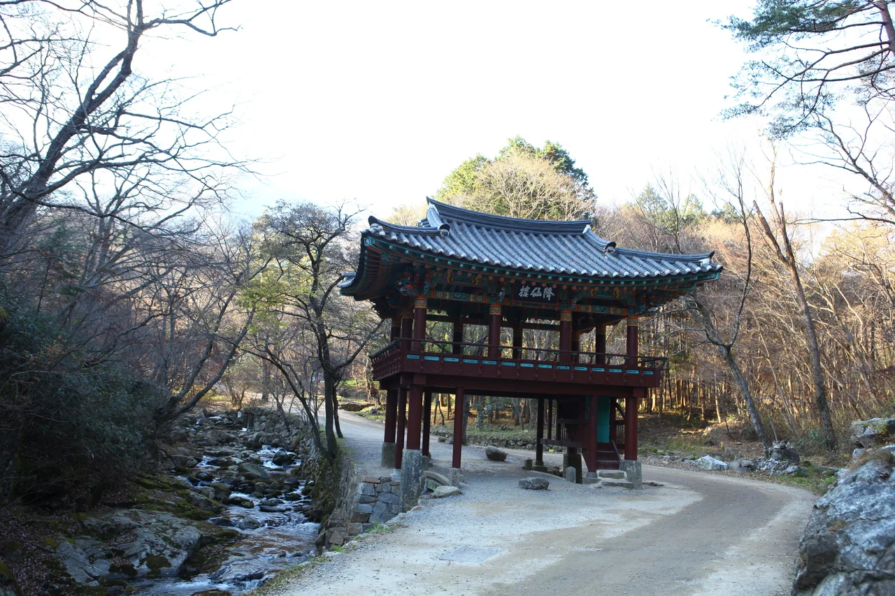 조계산 선암사 입구 단풍 사진, 낙엽 많음, 선암사 · 승선교 길