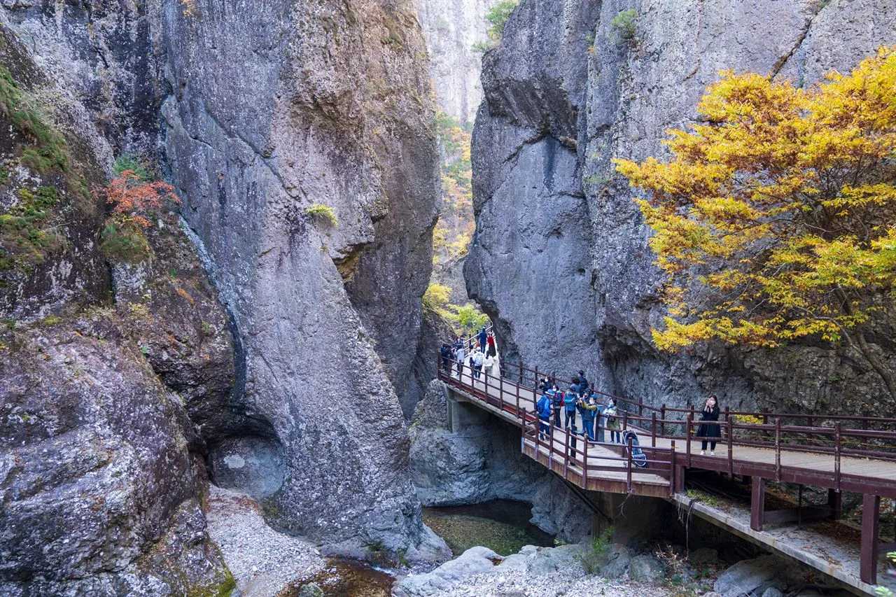 주왕산 대전사 입구 단풍 사진, 많이 물듦, 용추폭포 길