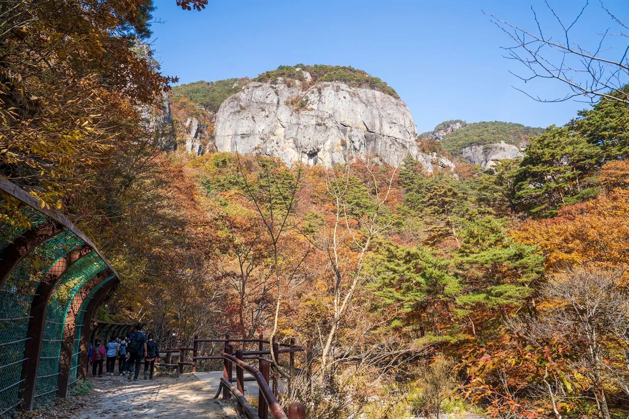 주왕산 대전사 입구 단풍 사진, 많이 물듦, 대전사 · 주왕계곡 길