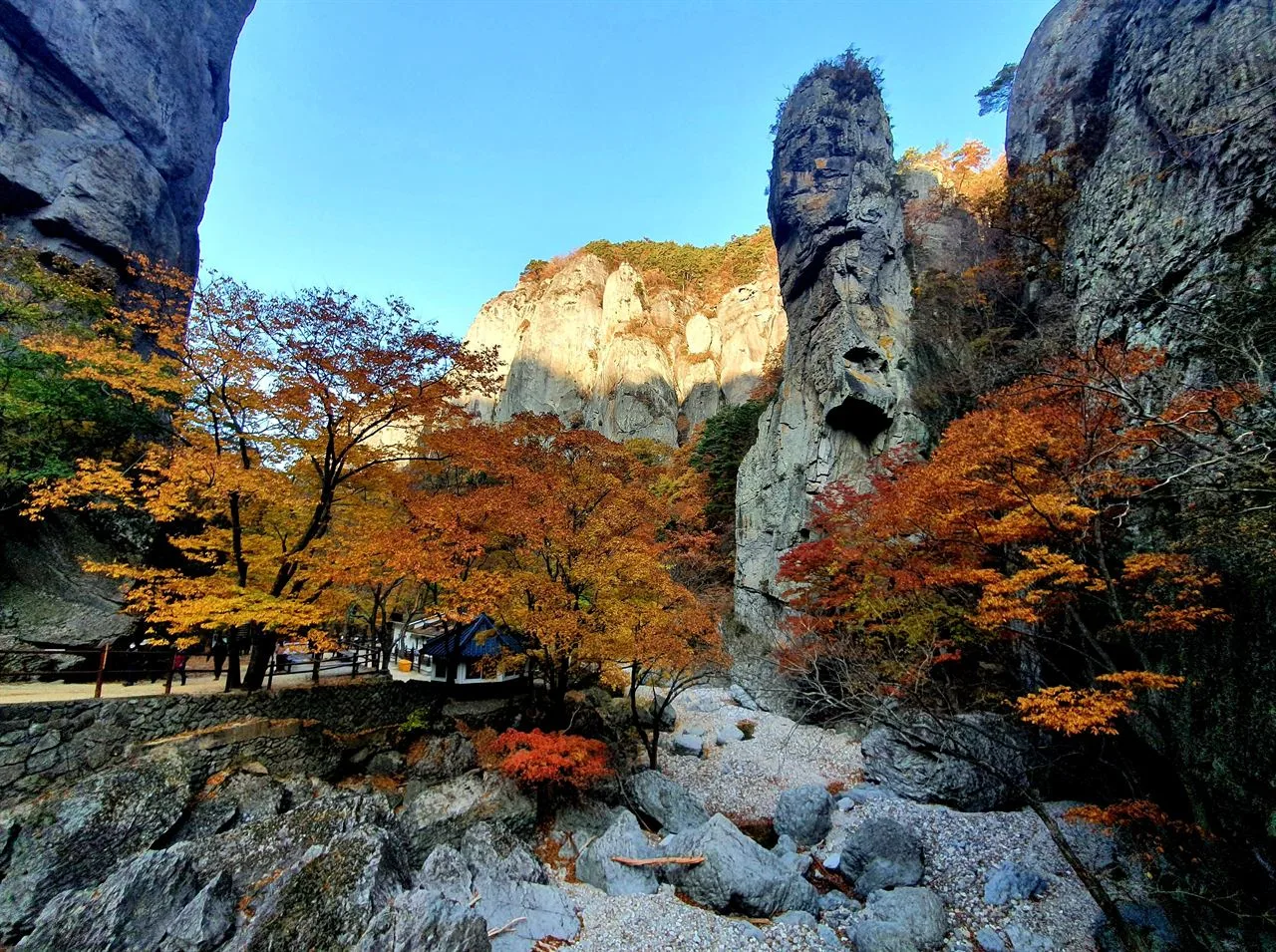 주왕산 대전사 입구 단풍 사진, 많이 물듦, 대전사 · 주왕계곡 길