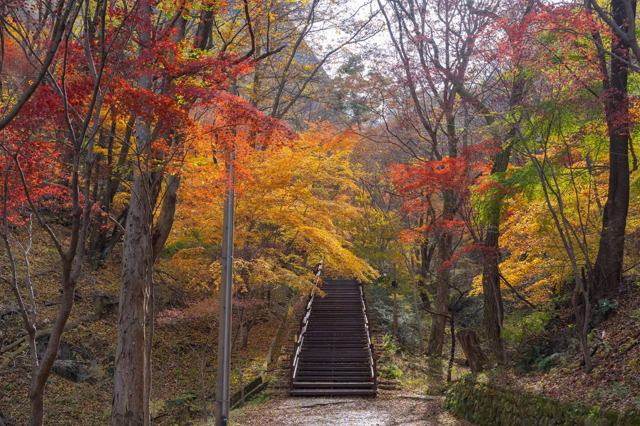마이산도립공원 (탑사) 단풍 사진, 많이 물듦