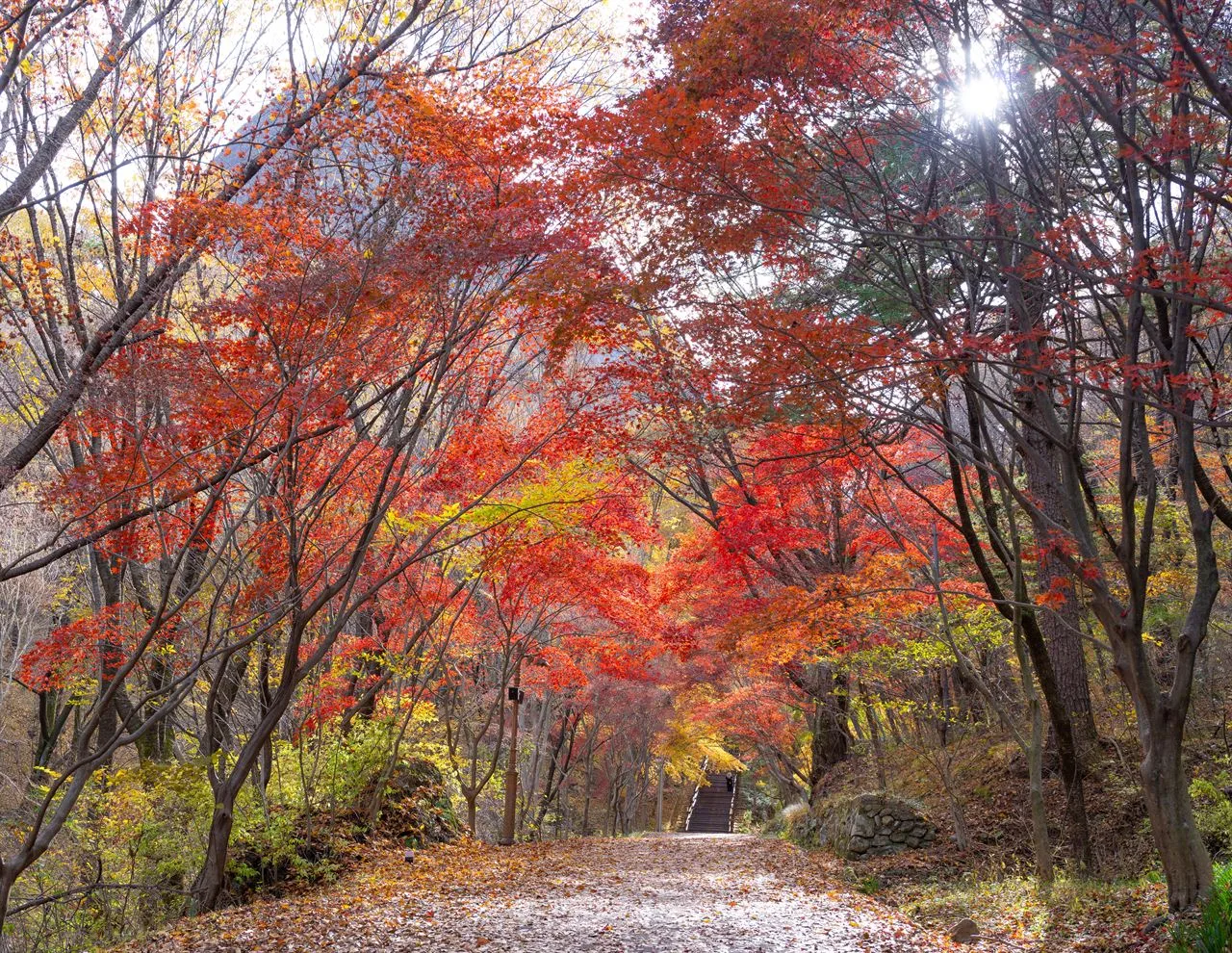 마이산도립공원 (탑사) 단풍 사진, 많이 물듦