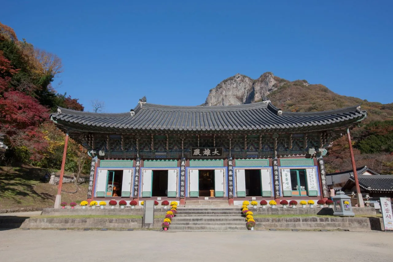 내장산 백양사 입구 단풍 사진, 물들기 시작, 백양사 · 쌍계루 길
