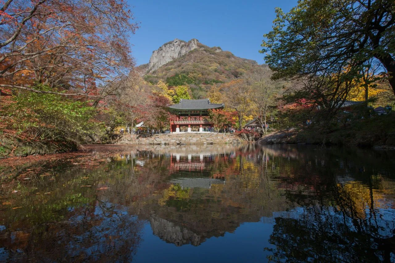 내장산 백양사 입구 단풍 사진, 물들기 시작, 백양사 · 쌍계루 길