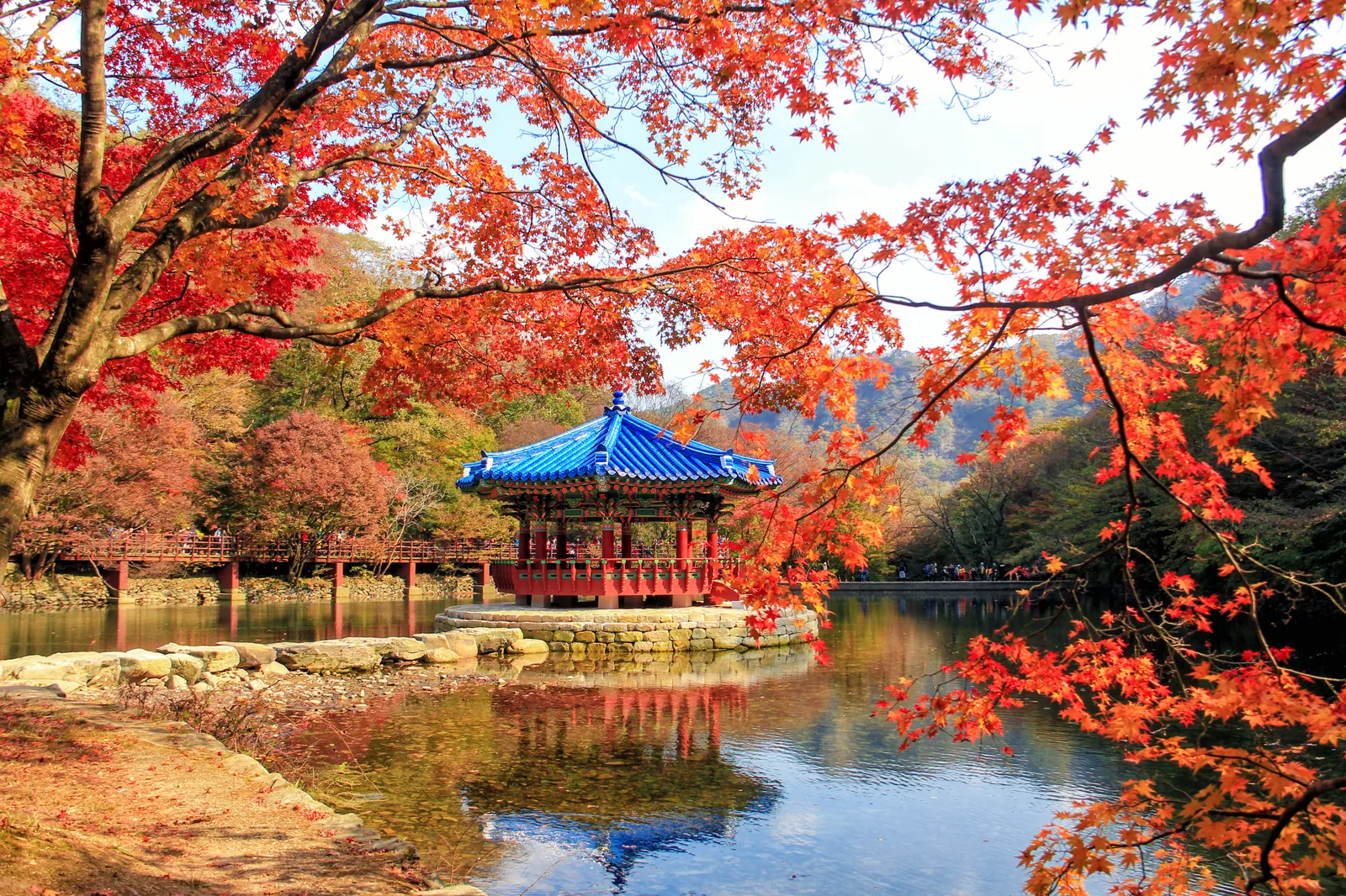 내장산 내장사 입구 단풍 사진, 많이 물듦, 단풍터널 · 내장사 길