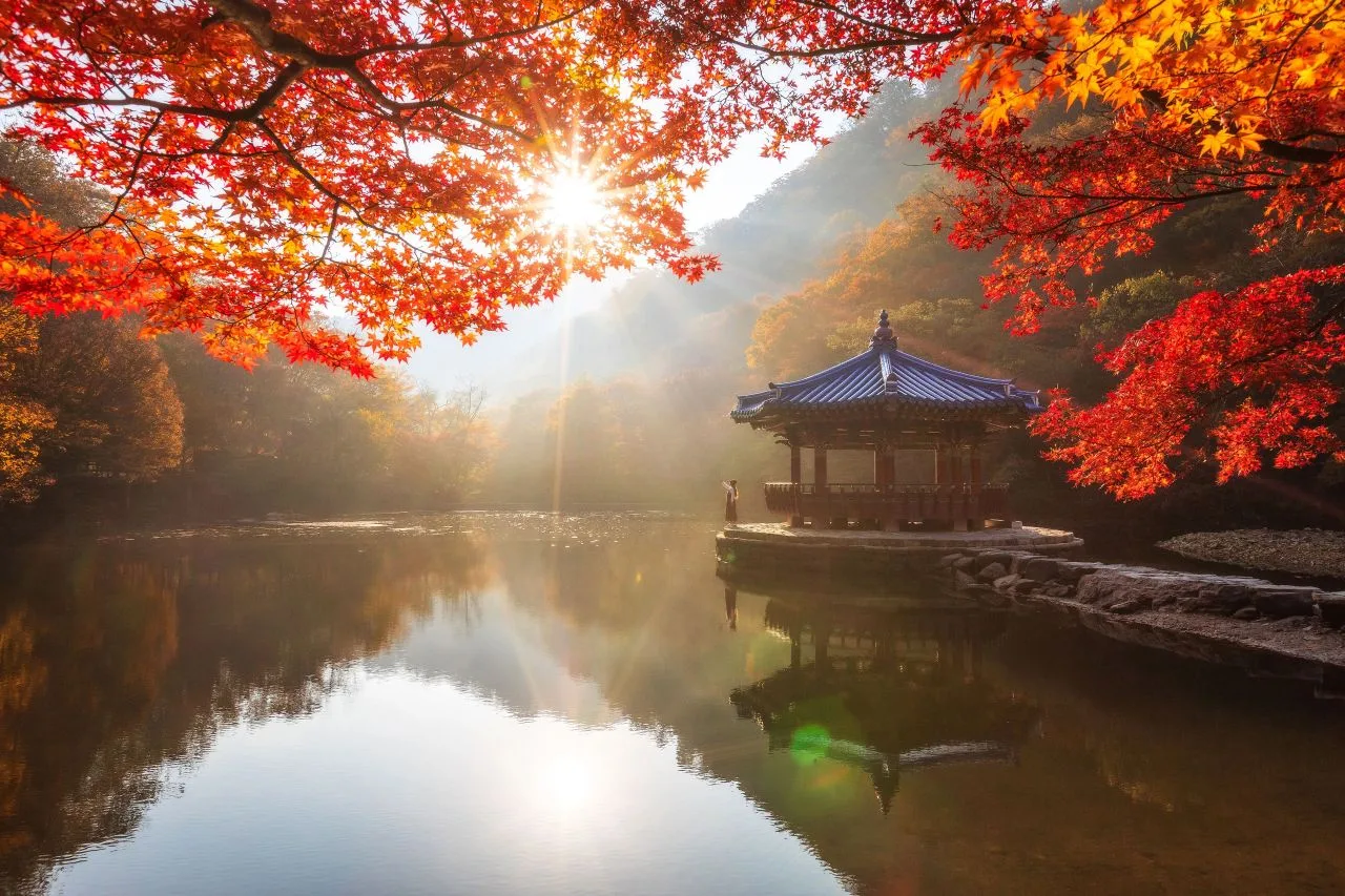 내장산 내장사 입구 단풍 사진, 많이 물듦