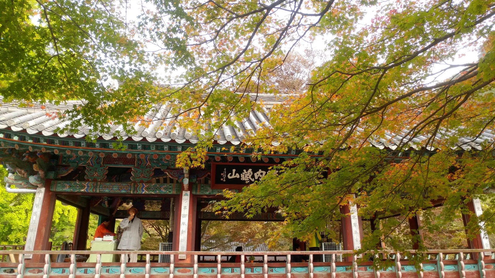 내장산 내장사 입구 단풍 사진, 물들기 시작
