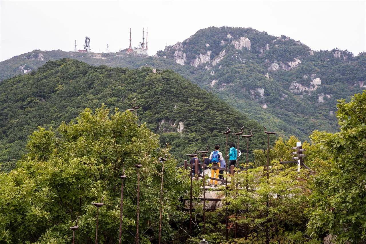 팔공산 동화사 입구 단풍 사진, 아직 초록, 팔공산 케이블카 · 신림봉 길