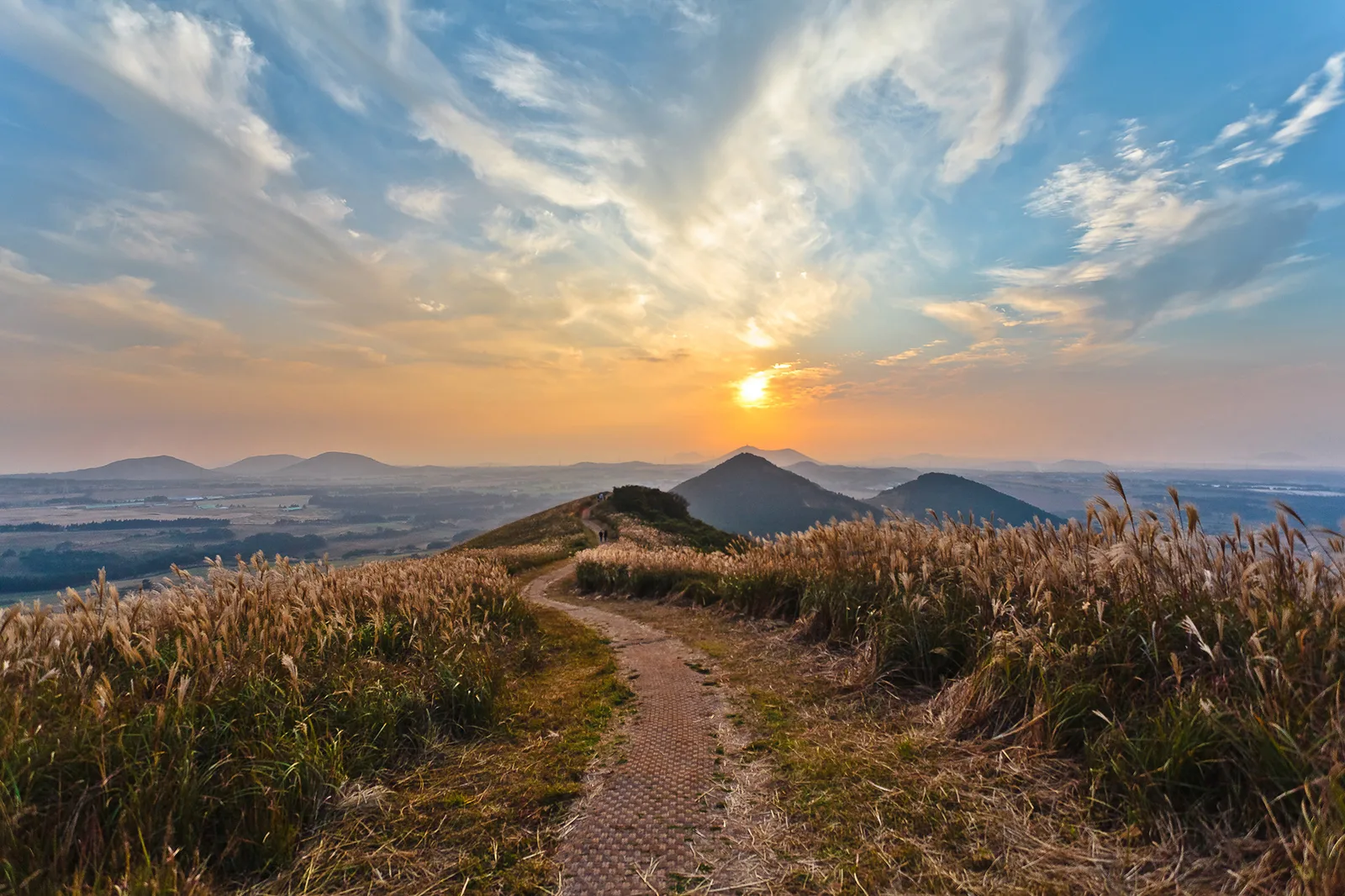 새별오름 단풍 사진, 많이 물듦, 새별오름 억새 능선