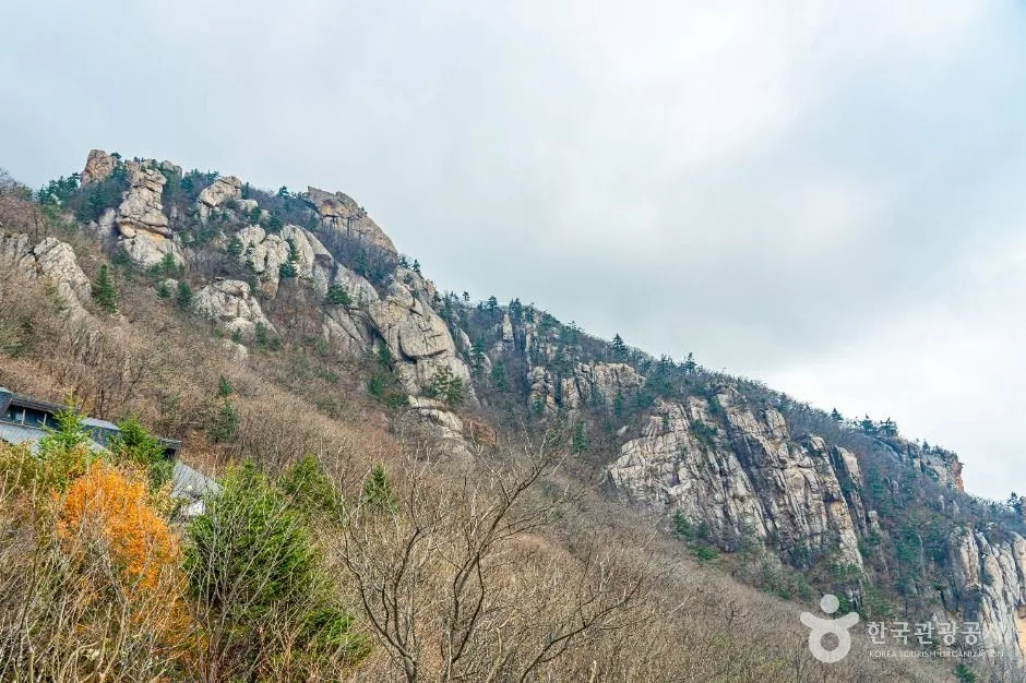 설악산 한계령 단풍 사진, 낙엽 많음, 한계령 휴게소 전망