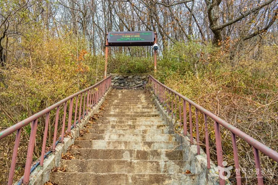 설악산 한계령 단풍 사진, 낙엽 많음, 한계령 · 서북능선 길