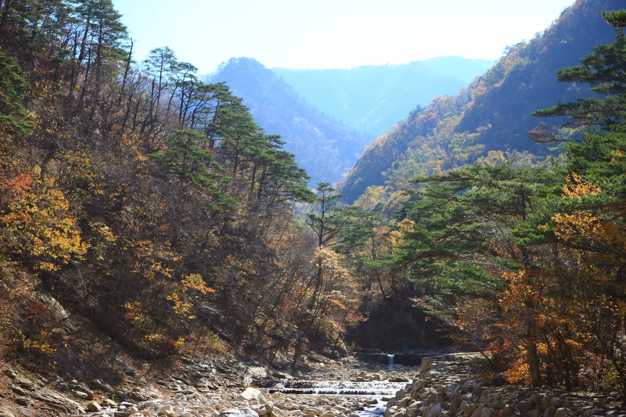 설악산 오색 주전골 단풍 사진, 물들기 시작, 오색약수 · 주전골 길