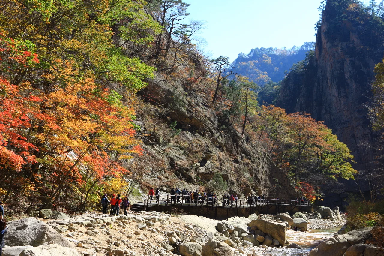 설악산 오색 주전골 단풍 사진, 많이 물듦, 오색약수 · 주전골 길
