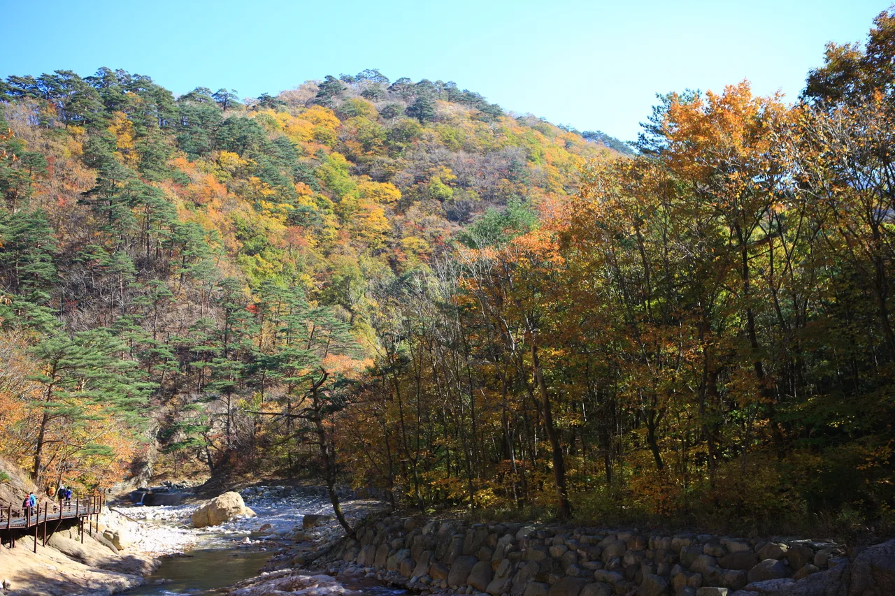 설악산 오색 주전골 단풍 사진, 물들기 시작, 오색약수 · 주전골 길