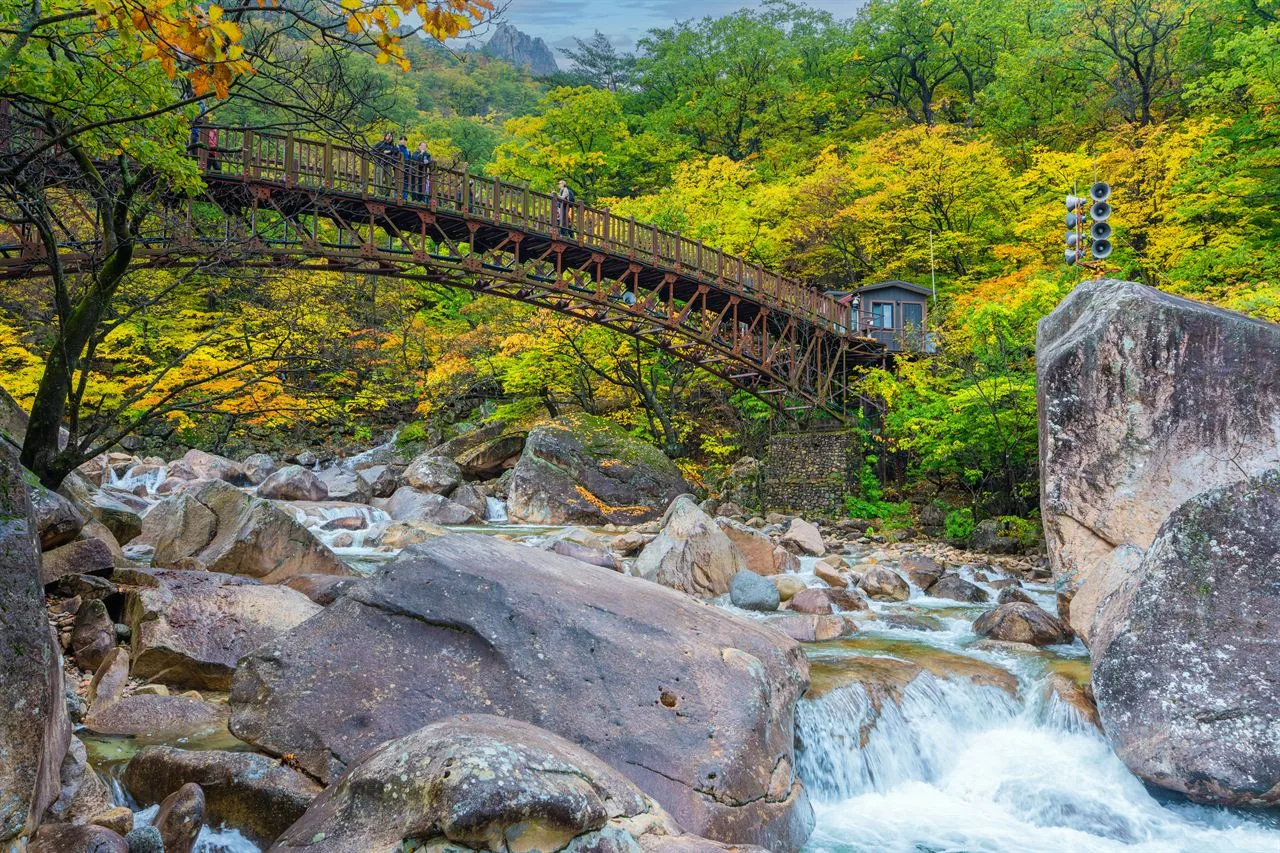 설악산 소공원 단풍 사진, 물들기 시작, 비선대 길