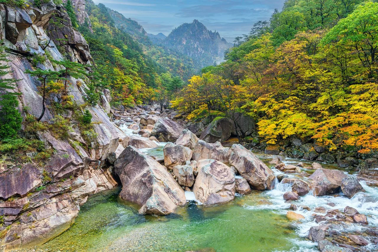 설악산 소공원 단풍 사진, 물들기 시작, 비선대 길