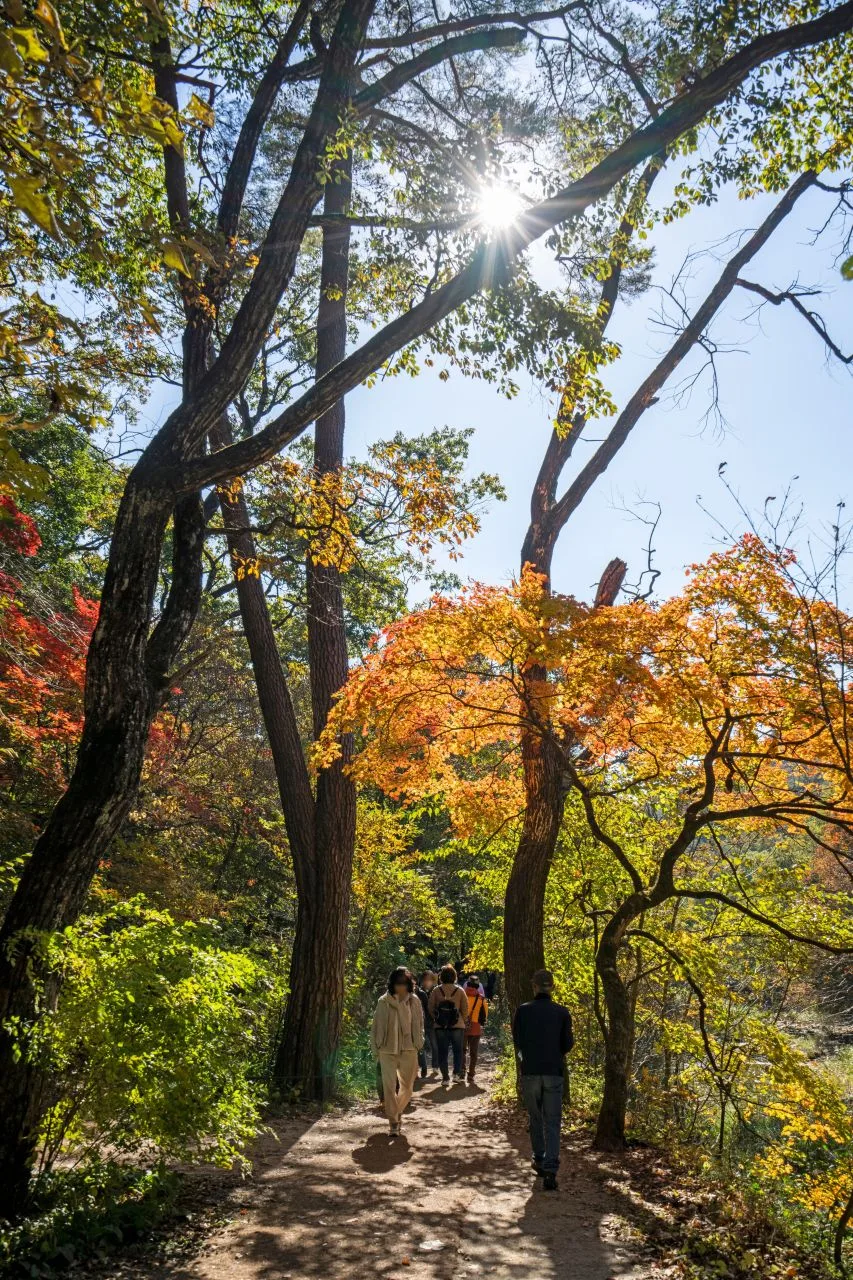 속리산 법주사 입구 단풍 사진, 물들기 시작