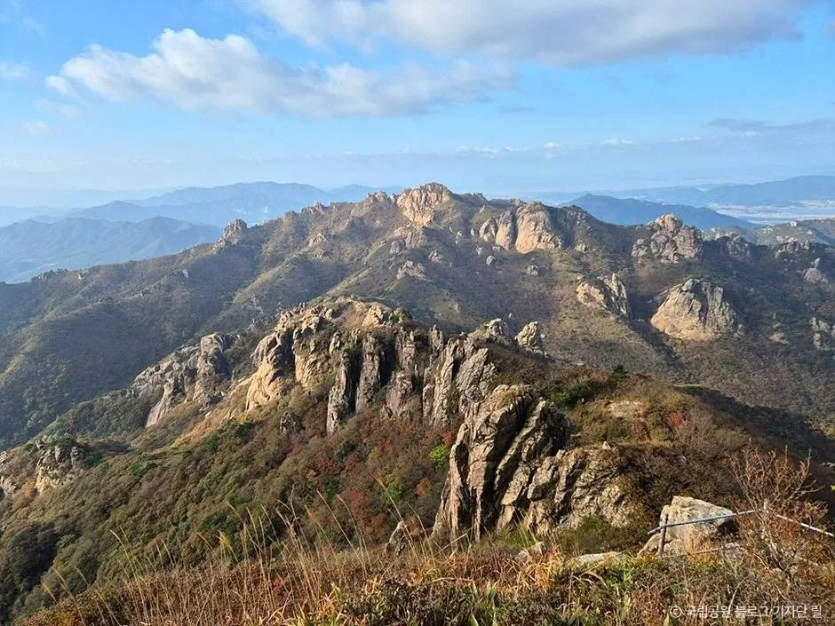 월출산 천황사 입구 단풍 사진, 물들기 시작